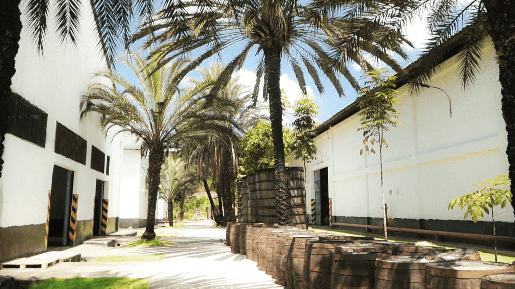 Ron premium Hacienda Ron Carupano