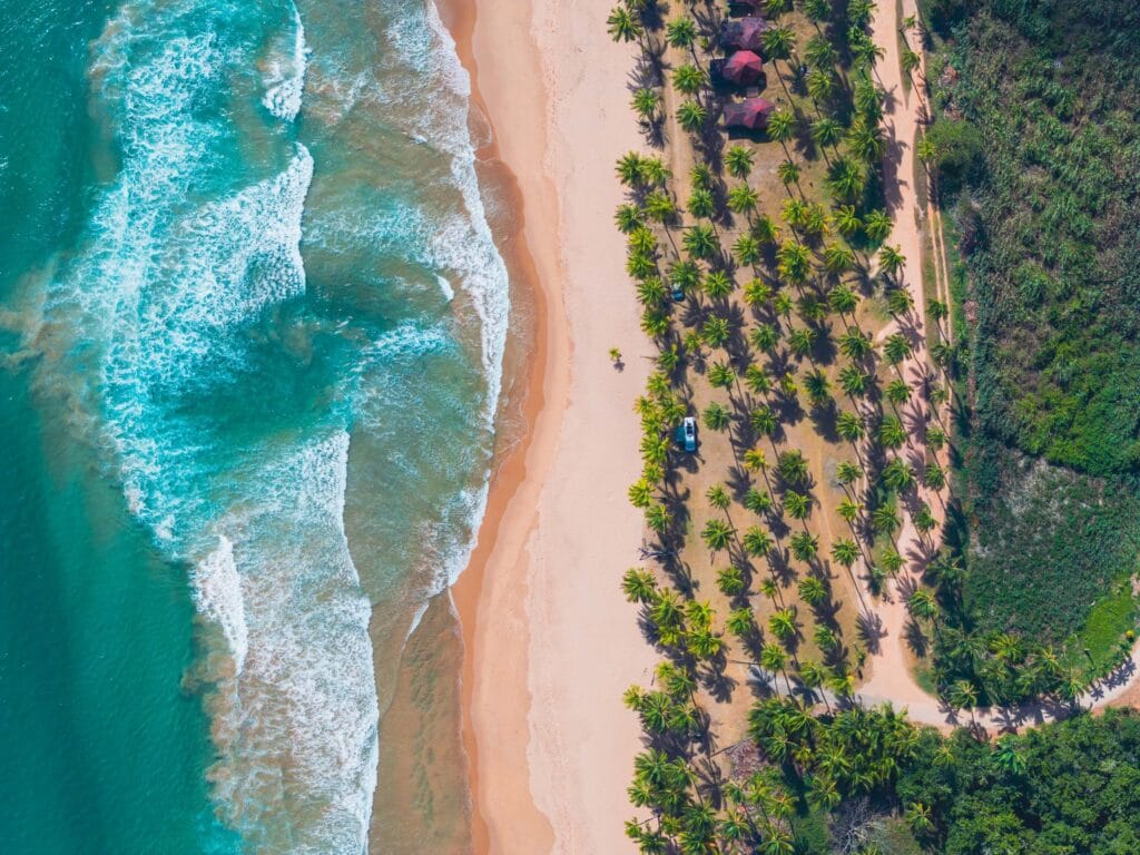 Ron Miami Ron Carupano premium