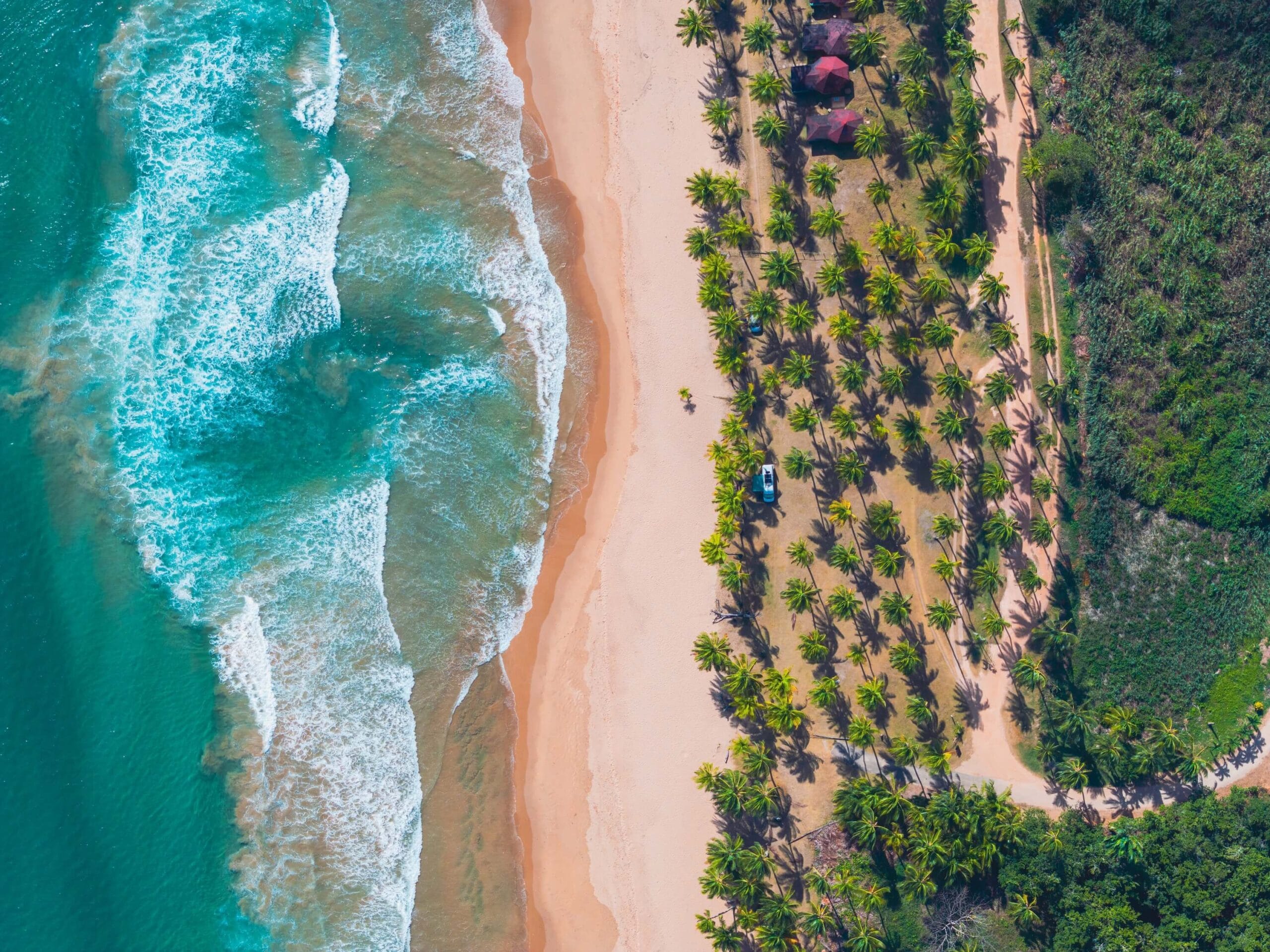 EXCEPTIONAL MICROCLIMATE